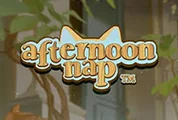 Afternoon Nap